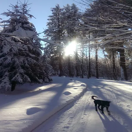 Gemuetliches Familienapartment Appartement Werda