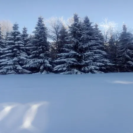 Gemuetliches Familienapartment *