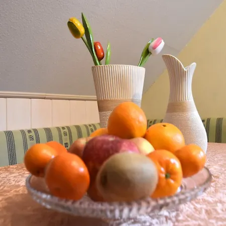 Gemuetliches Familienapartment Werda