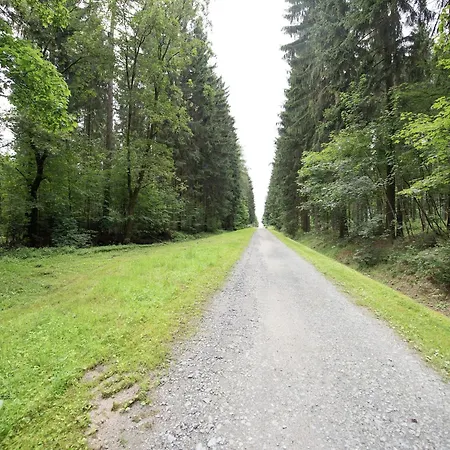 Appartement Gemuetliches Familienapartment Werda