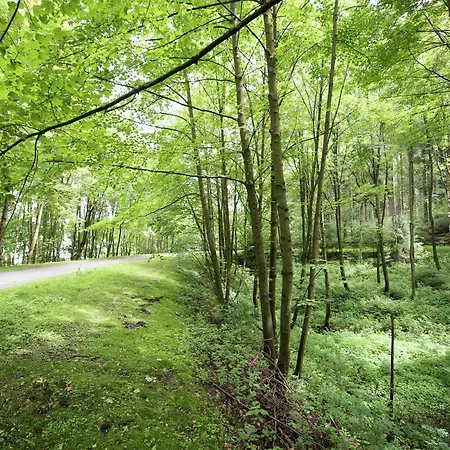 Gemuetliches Familienapartment * Werda